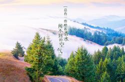 英雄联盟总决赛门票-蓝武士风暴，2026世界杯B组焦点战，日本横扫丹麦，凯恩导演临场逆袭