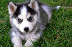 英雄联盟总决赛时间-蓝白风暴，2026世界杯，梅西的绝唱与阿根廷对韩国的绝对统治