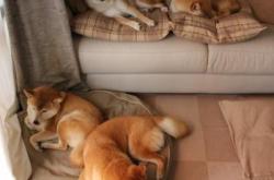 英雄联盟总决赛赛程-唯一性的双重奏，当孔德在达喀尔街道扣下扳机