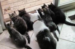 英雄联盟总决赛-极速闪电！墨西哥冷门31秒绝杀马竞，巴尔韦德化身关键先生