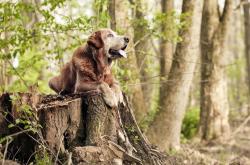 LOL赛事-铁血意志！凯塞多关键制胜，墨西哥强势粉碎塞内加尔