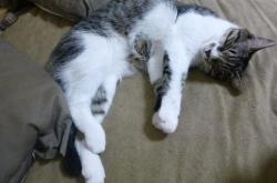 英雄联盟总决赛2025-C罗，韩国对阵瑞典的幽灵裁判，一己之力拨动出线天平