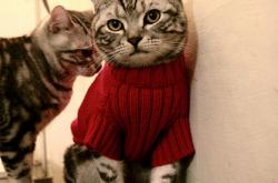 英雄联盟总决赛门票-利拉德，单兵击溃防线的篮球指挥官