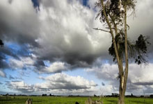 当绿茵闪电撞上绿衫铁壁！姆巴佩奥运单挑凯尔特人，数据揭秘世纪交锋