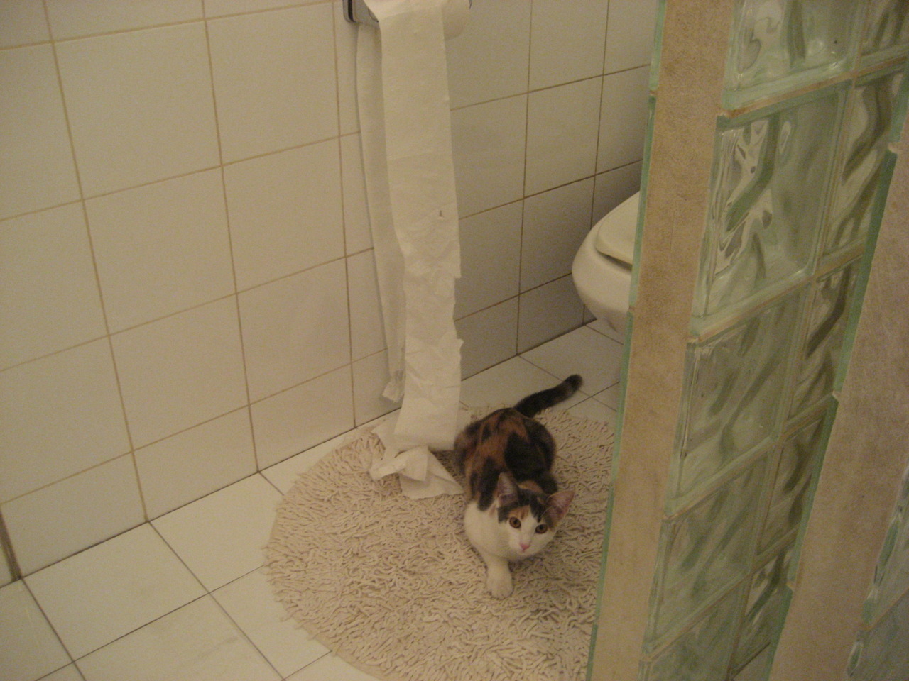 爆冷夜!新疆队掀翻联盟第一,浓眉末节15分导演逆转奇迹