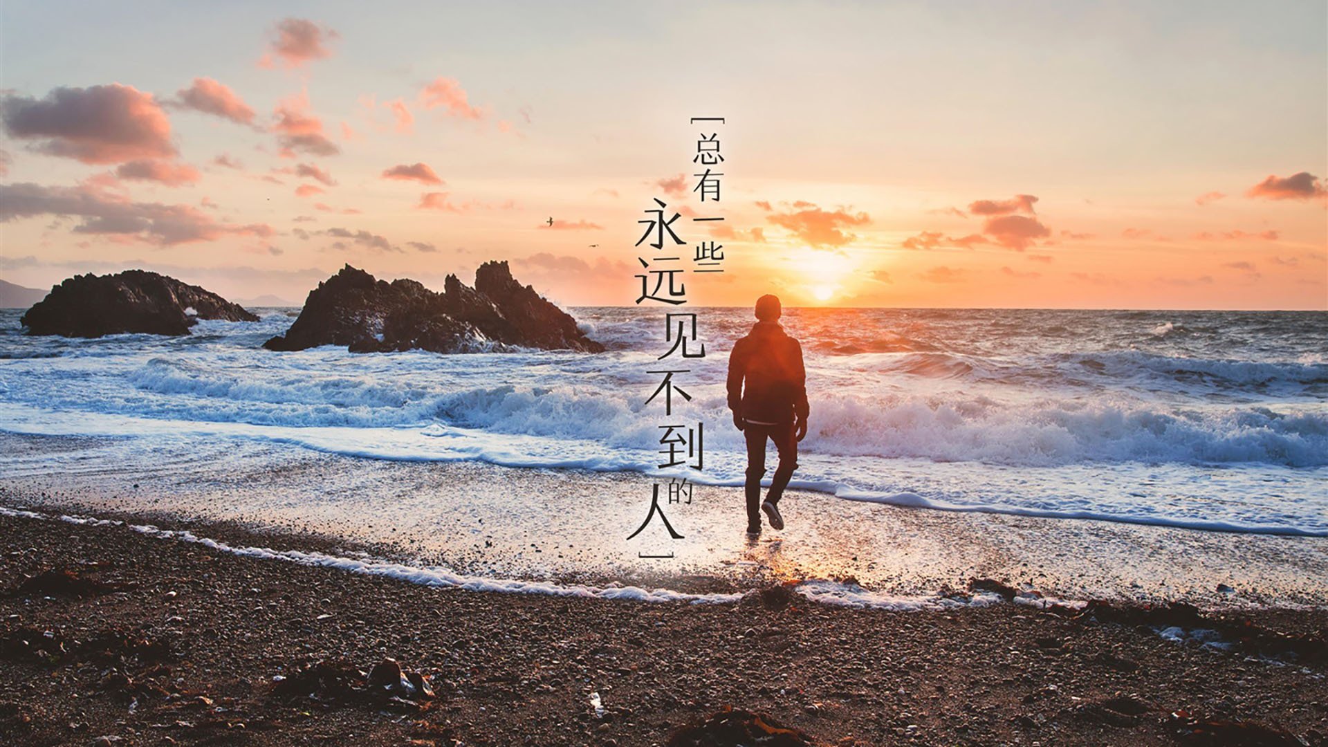 球场两端的不相关震撼,浙江队极致速胜与范弗利特遥远纪录的偶然共振