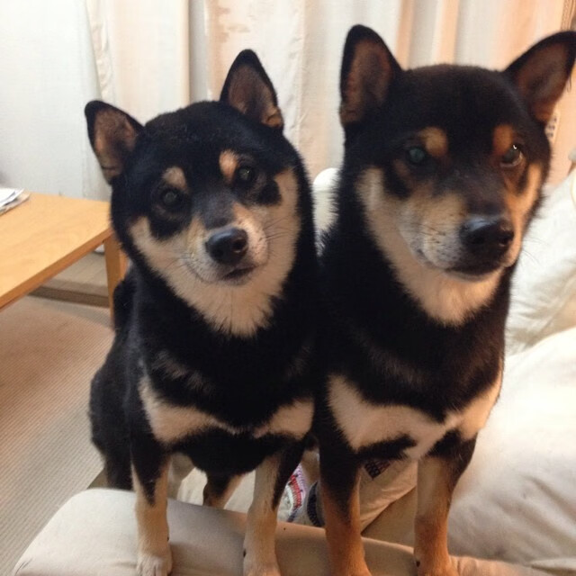 欧冠决赛之夜,蒂亚戈用数据刻下中场王座