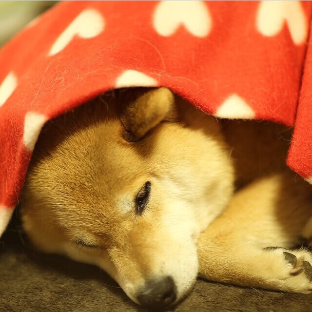 今夜属于蓝色闪电,哈弗茨全场最佳无争议,尤文图斯4-0横扫AC米兰改写赛季格局