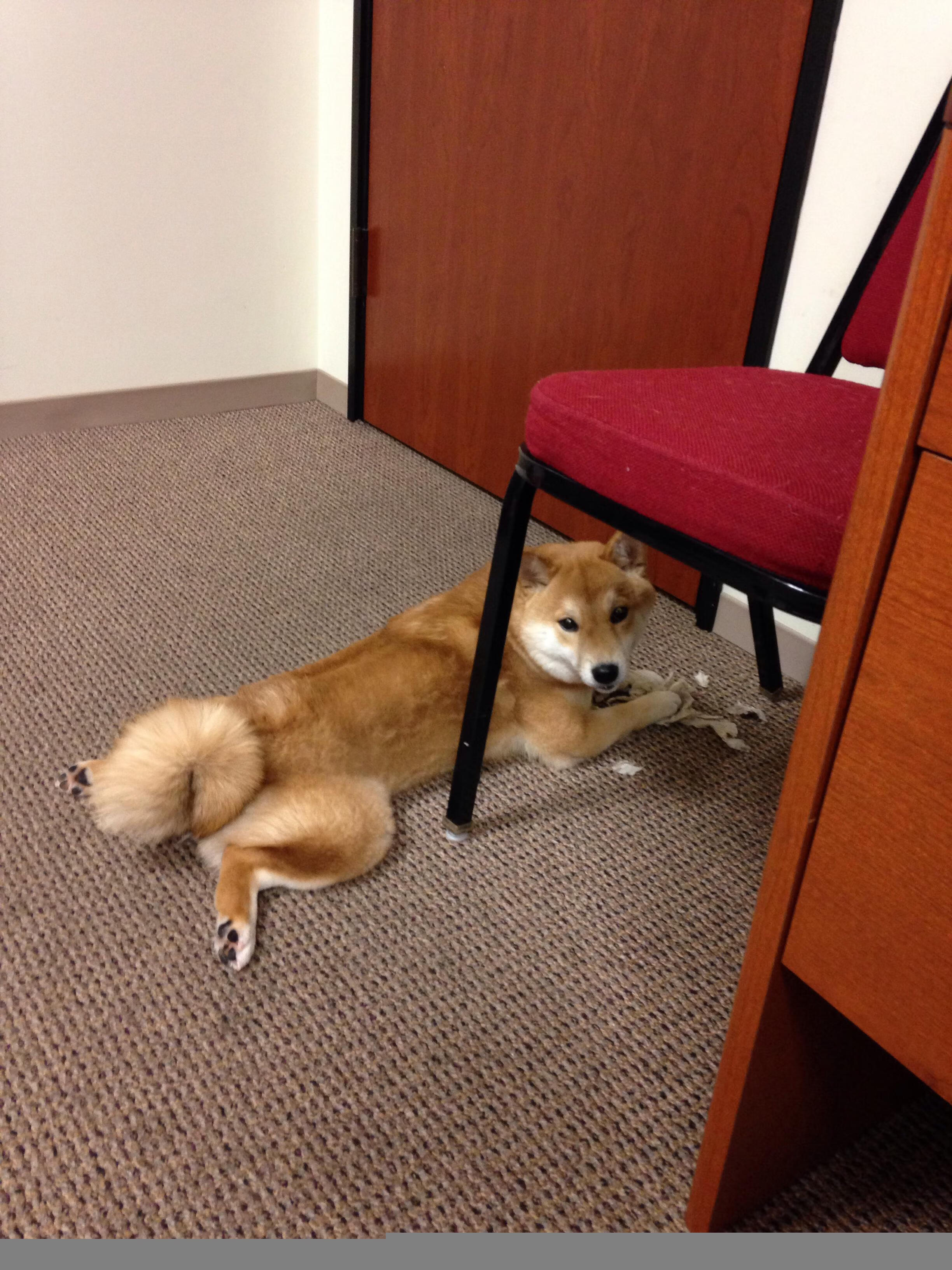 跨界统治,当雷霆横扫活塞,恩比德在欧冠决赛写就传奇