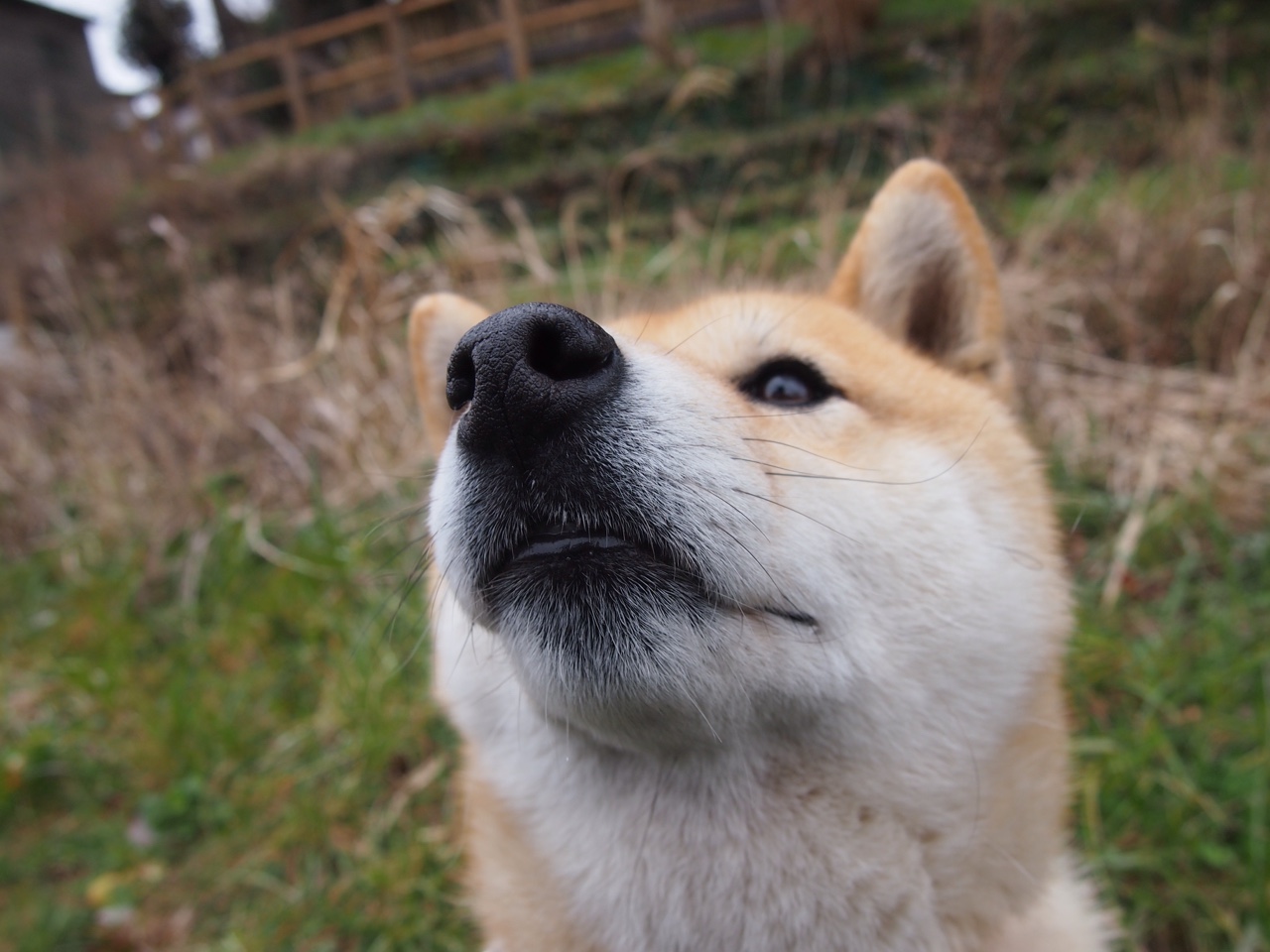 阿尔瓦雷斯一剑封喉!毕尔巴鄂鏖战芬兰惊险晋级