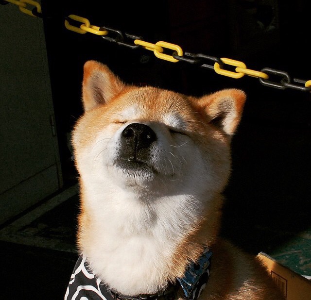 赛道与球场的终极同频，在绝杀倒计时中完成自我救赎