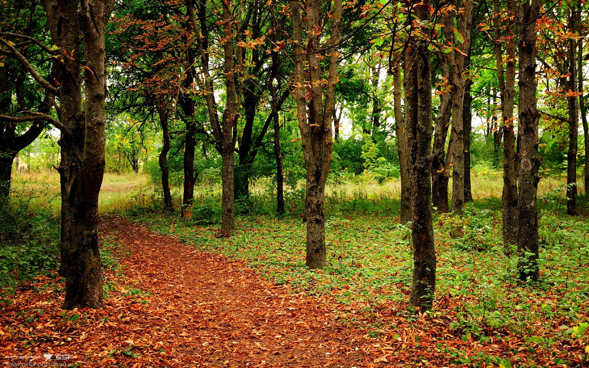 绝杀与永恒，毕尔巴鄂的逆转与莱万的足坛新高度