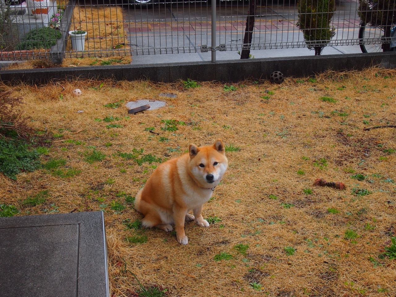 杜兰特化身终极守护神!辽宁生死战力克新疆,攻防一体的绝对统治!