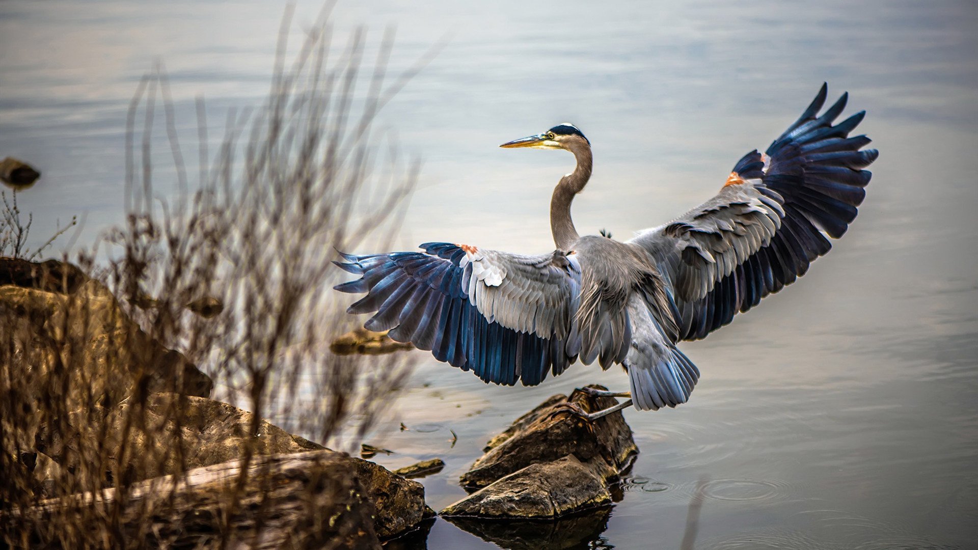 维也纳的闪电与首尔的星光，奥地利‘波带’战术摧毁巴拉圭，孙兴慜跨界闪耀全场
