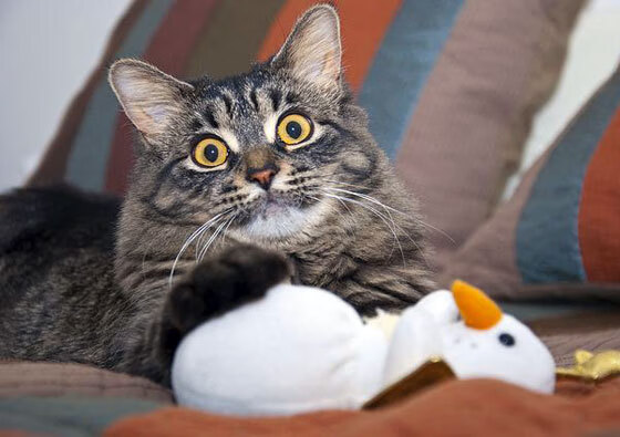 千度灼热,百炼成钢—休城熔炉中诞生的关键先生