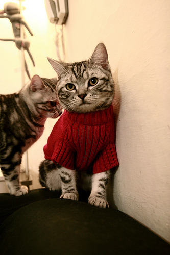 利拉德,单兵击溃防线的篮球指挥官