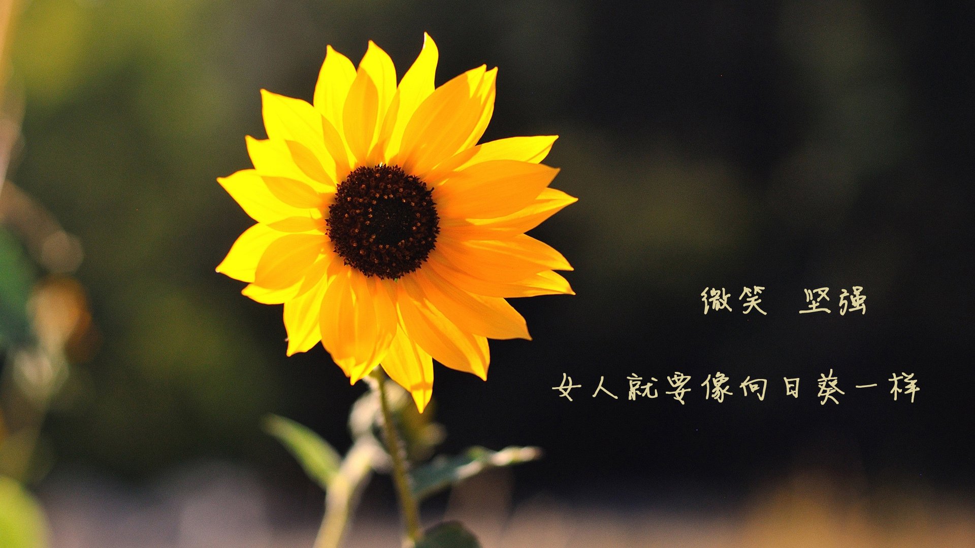 铁血智利防线锁死摩纳哥，格纳布里天神下凡一剑封喉