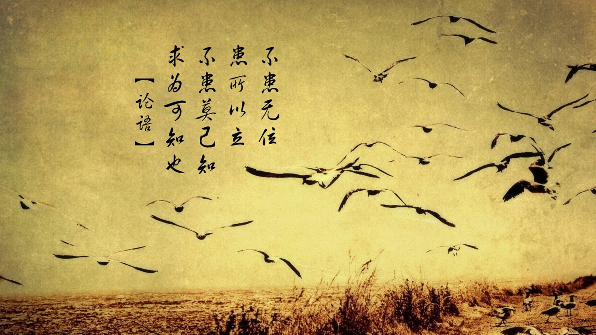 奥利维耶的沉默,当封锁成为唯一的礼物